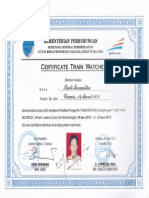 Certificate Trainwacher 