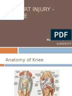 Knee Sport Injury - Martinus VT