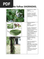 Apostila de Folhas Sagradas