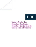 Livro Teoria e Prática dos Conselhos Tutelares.pdf