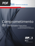 Comprometimento Do Patrocinador Executivo