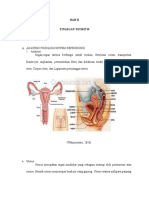Anatomi Fisiologi Kpd 3