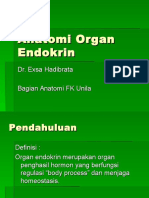 Anatomi Organ Endokrin