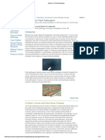 Bacteria As Plant Pathogens