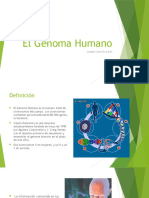 El Genoma Humano