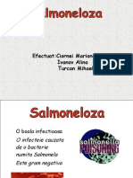 salmonellosis(2)