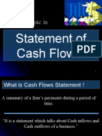 Cash Flow Statement