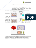 Informe 6 Terminales