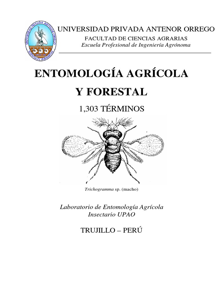 Exterminaron 46 colmenas de abejas al fumigar un campo cerca de