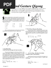 Hand Gesture QiGong