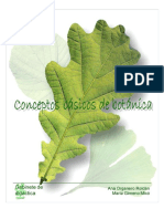 CONCEPTOS BÁSICOS DE BOTÂNICA.pdf