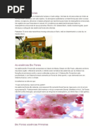 A História Dos Florais, Utilização Etc