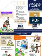Adultosmayores PDF