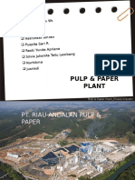 Pulp & Paper Plant