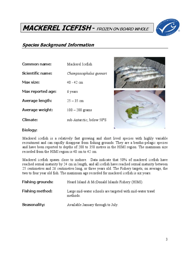 Mackerel Icefish Species Background Information PDF