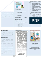 Leaflet Hiperemesis