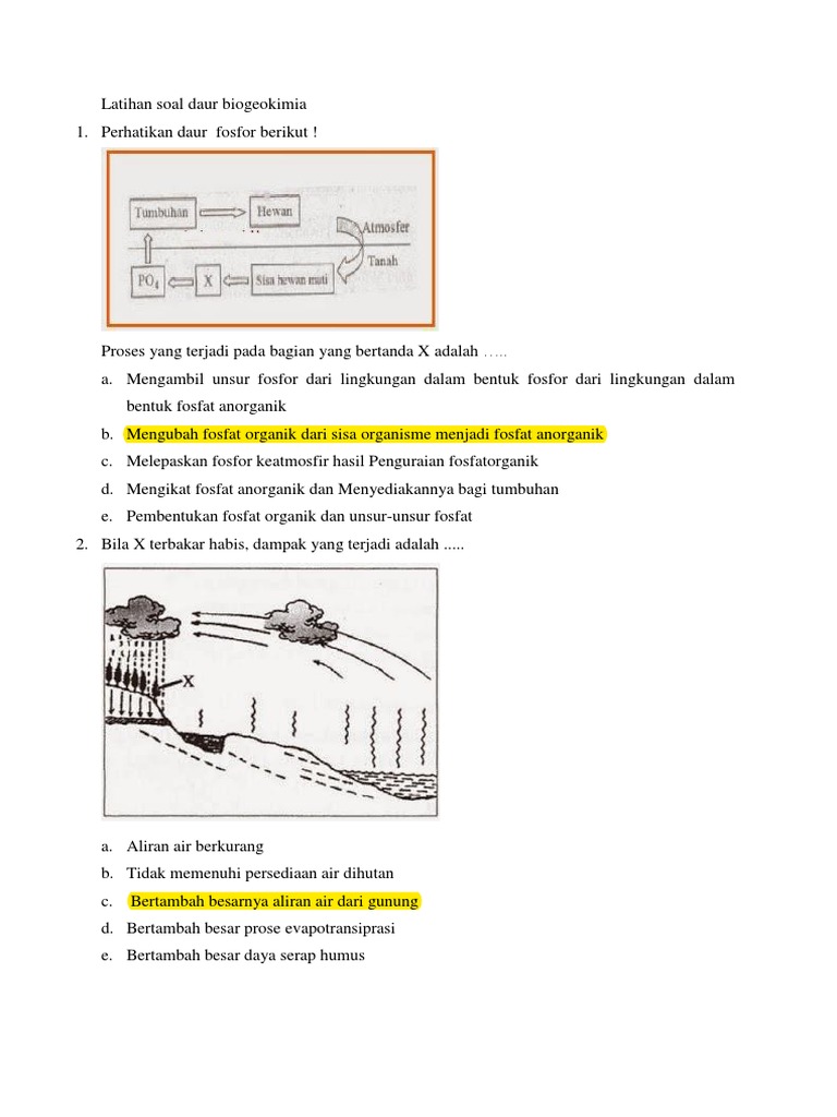 Latihan Soal Daur Biogeokimia Perubahan Lingkungan Fajar Dan Jony