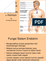 Hormon Slide Endokrin