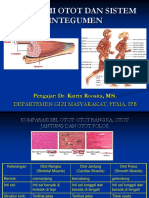 Anatomi Otot Dan Sistem Integumen