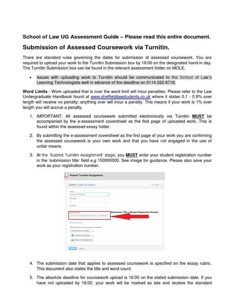 Assessment Guide Electronically Assessed Coursework(1