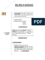 Esquema Tema 19 Sociología