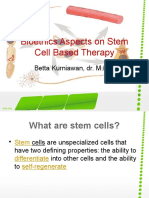 Bioethics Aspects On Stem Cell Based Therapy