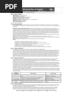 Modelo Do Plano de Negócio - Lava-rápido