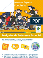Insignias-de-Interesse-Especial-R-L-Vitor-EN.pdf