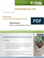 biorremediacindesuelosenbotaderosdemineriadecarbn-140924214030-phpapp02