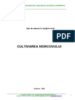 Idei de Afaceri - Cultivarea Morcovului PDF