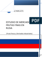 Informe RUSIA PDF