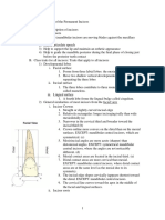 Permanent Incisors 