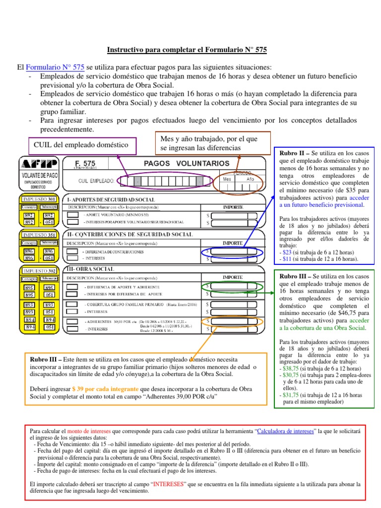 Instrucciones para el Formulario 575 | PDF | Economias | Business