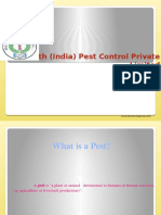 South India Pest Control