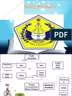Sintesis Protein