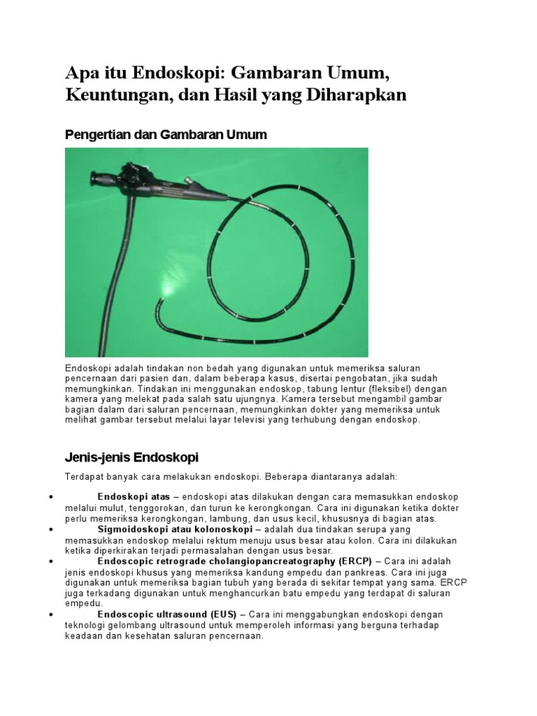 Apa Itu Endoskopi PDF