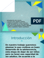 info integradora.pptx
