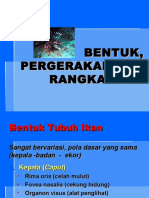 Bentuk Pergerakan Dan Rangka Ikan