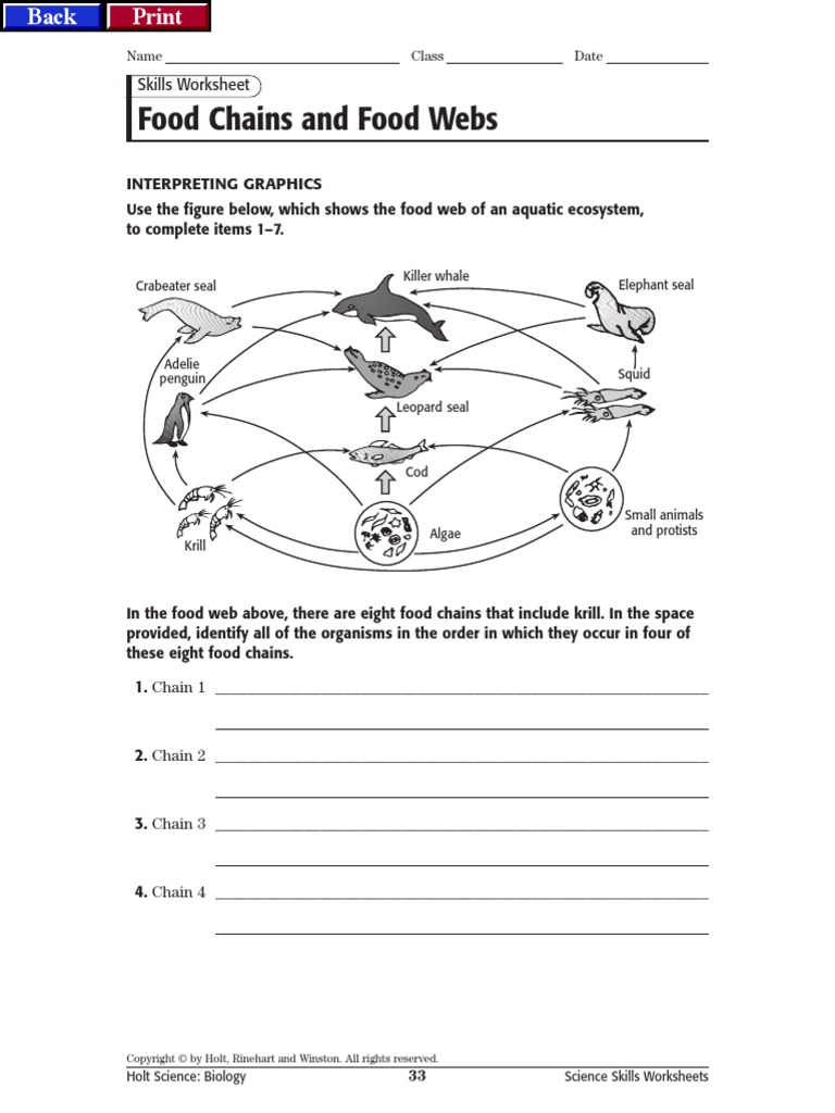 Science Skills Worksheet