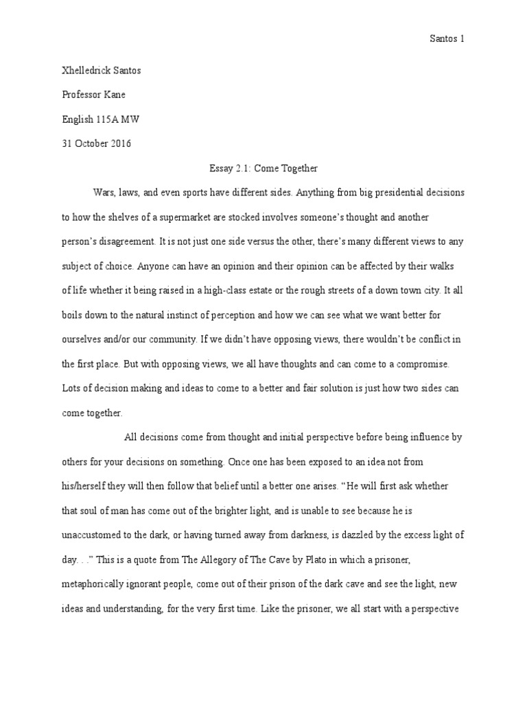 Essay examples image