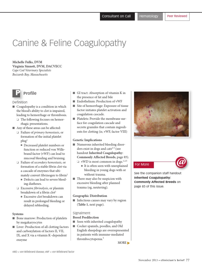 Visual Reference: Canine Feline Coagulopathy Pdf Coagulation