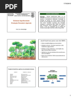 Aula Rec Florestais SAF