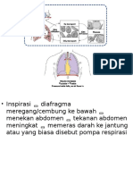 ppt respi 1