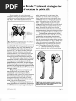 Download Treatment Strategies for Hip Deep Lateral Rotators in Pelvic Tilt by Myers by Tensegrity Wiki SN33438131 doc pdf