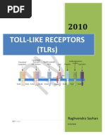Download Toll Like Receptors TLRs Potential Targets for Drug Discovery by Raghvendra Sachan by Raghvendra Sachan SN33441766 doc pdf
