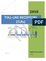 Toll Like Receptors (TLRs)