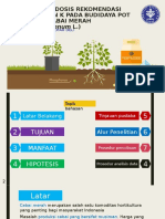 Penentuan Dosis Rekomendasi Pupuk P Dan K