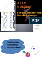 Metab As. Nukleat 3