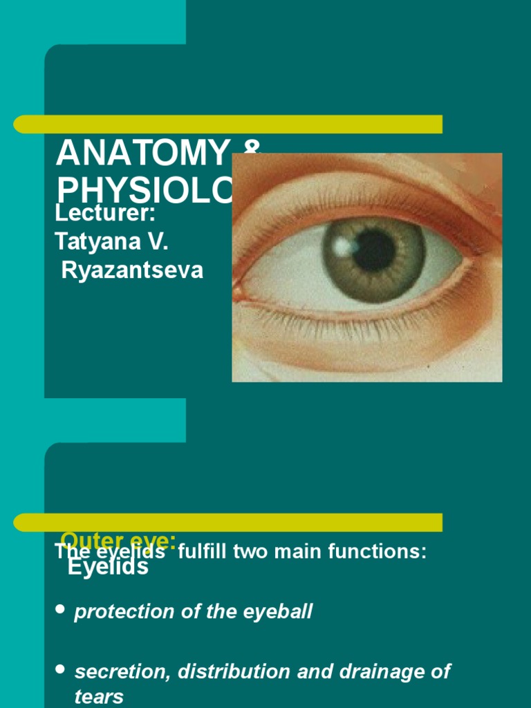 Anatomy and Physiology of the Eye | PDF | Retina | Cornea
