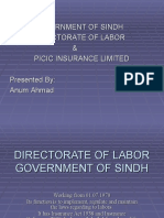 Government of Sindh Directorate of Labor & Picic Insurance Limited Presented By: Anum Ahmad